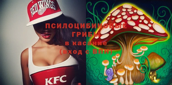 дурь Нефтекумск