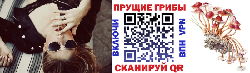 Псилоцибиновые грибы Magic Shrooms Остров