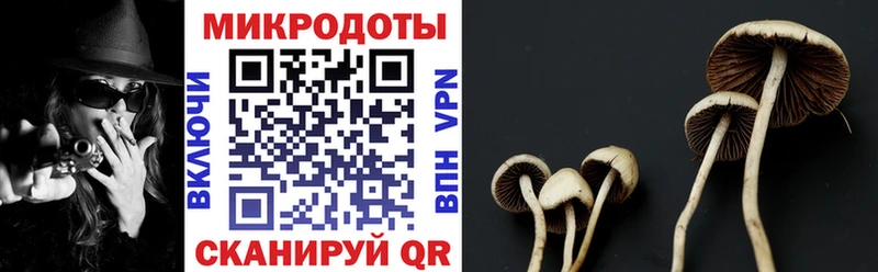дарнет шоп  Остров  Псилоцибиновые грибы Cubensis 